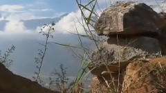 音乐短片 - 山丹丹花开红艳艳