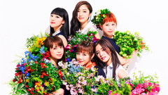 Flower - やさしさで溢れるように