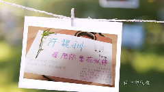 许魏洲 - 许魏洲,我愿陪你到繁花似锦