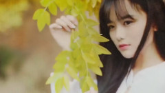 音乐短片 - 雨夜花