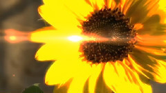 音乐短片 - Sweet Nectar