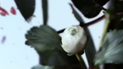 音乐短片 - Open Your Arms