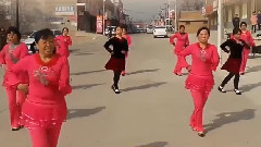 舞蹈视频 - 草原的你