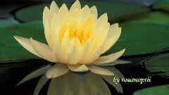 音乐短片 - Walking In The Air