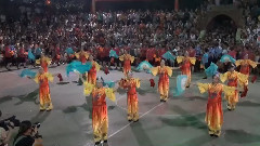 舞蹈视频 - 民族舞蹈
