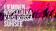 欧美群星 - Kaislikossa Suhisee