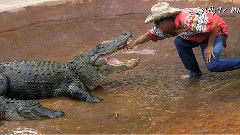 音乐短片 - 六个世界级高危职业