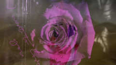 音乐短片 - I Want To Love You