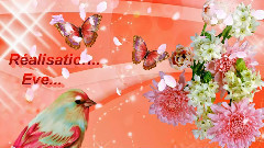 音乐短片 - Comme un soleil