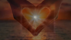 音乐短片 - Lovely Sunny Day