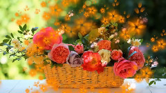 音乐短片 - Detente et Serenite