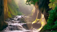 音乐短片 - Aud Lang Syne