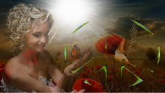 音乐短片 - Paix sur la terre