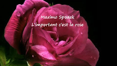 音乐短片 - L'IMPORTANT C'EST LA ROS