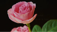 音乐短片 - PIANO Y ARREGLO MUSICAL