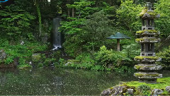 音乐短片 - 此去经年