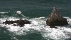 音乐短片 - 来生缘