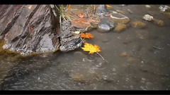 音乐短片 - 小城大事