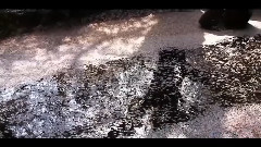 音乐短片 - 花漾曼波