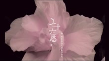 许飞 - 你如今好吗-许飞