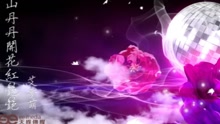 山丹丹花开红艳艳-艾梦萌
