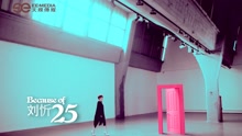 刘忻 - because of 25-刘忻