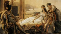 音乐短片 - 花之果