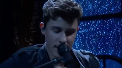 Shawn Mendes - Stitches