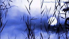 音乐短片 - Nightfal