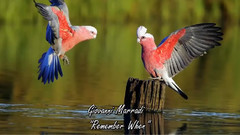 音乐短片 - REMEMBER WHEN