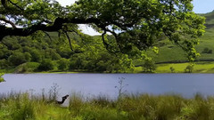 音乐短片,风景 - 北英格兰湖区和达勒姆