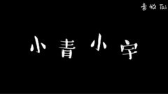 王青,冯建宇 - 小青小宇叽叽叽