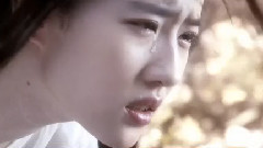 影视原声 - 情未逝