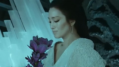 华语群星,影视原声 - 那些妖艳的女子