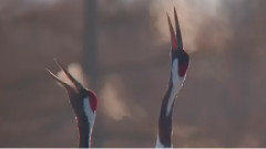 音乐短片 - 告别