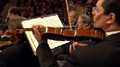 音乐短片 - 维也纳新年音乐会 蓝色的多瑙河2013