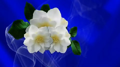 音乐短片 - Очарование