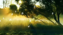 音乐短片 - Утринно великолепие! ... ...((Stamatis Spanoudakis music)