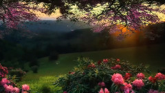 音乐短片 - Магическият Свят, в който живеем ~