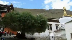 音乐短片 - 白雪胜地日喀则