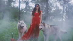 音乐短片 - 迷幻森林