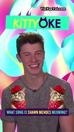 Shawn Mendes - 德式瞄叫