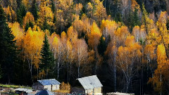 音乐短片 - 中国最美乡村 新疆布尔津图瓦村