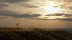 音乐短片 - 美丽中国系列 新疆奎屯河大峡谷