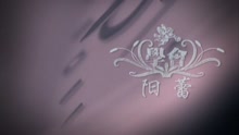 阳蕾 - 学会-阳蕾