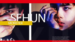 EXO,EXO-K,EXO-M - Monster打歌舞台混剪