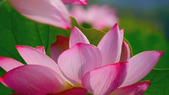 音乐短片 - Sense Body