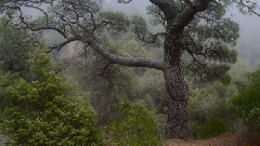 音乐短片 - ПУТЕШЕСТВИЕ В ТУРЦИЮ