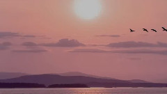 音乐短片 - Красивое 1