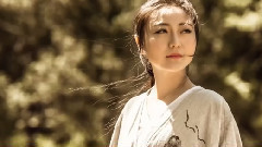 华语群星,音乐短片 - 渡风